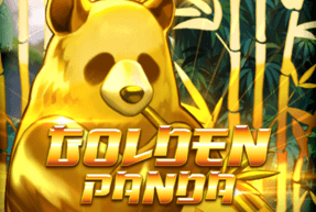 Golden panda thumbnail